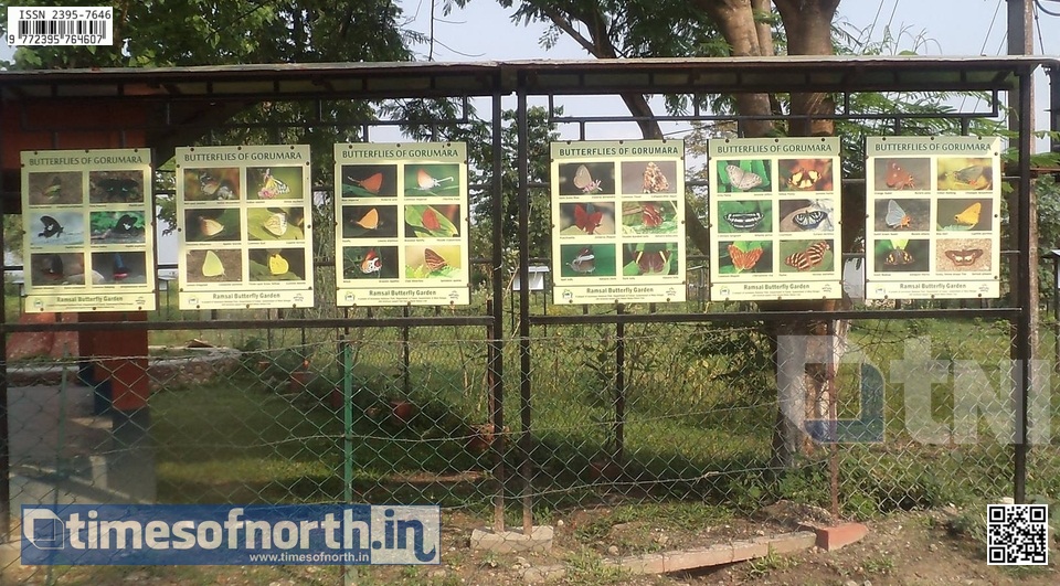 The Butterfly Conservatory at Ramshai, Gorumara, A Lifetime Experience