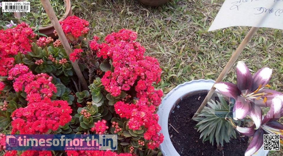 The 5th Annual Falakata Flower Show at Falakata