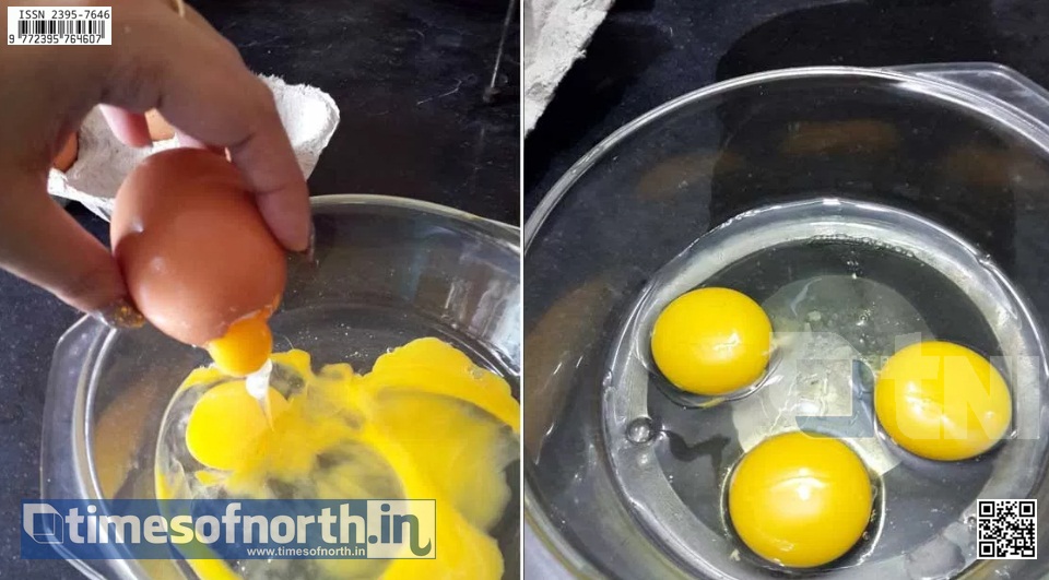 Plastic Eggs Seized from Kolkata’s Tiljala Area [VIDEO]