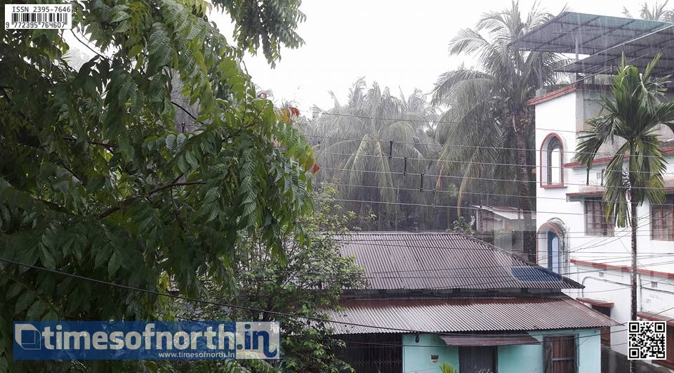 Cable Connections Snapped, Trees Fell as Siliguri Faced the First Heavy Rains This Season [VIDEO]