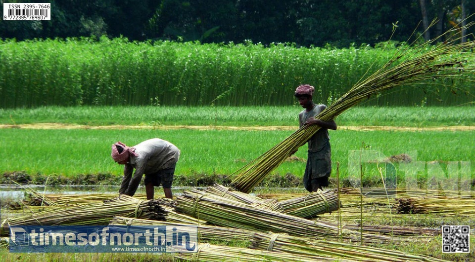 Jute Farmers Father and Son Dies in an Electrocuting Accident in their Jute Field at Itahar