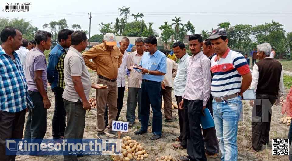 Potato Demonstration by Farmer Clubs of Siliguri and Jalpaiguri at Kharibari